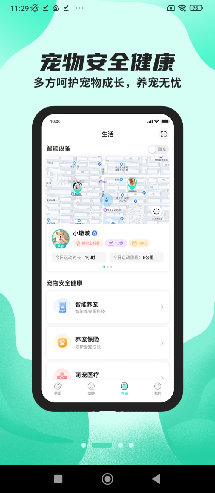 陌哈陌哈