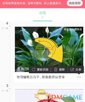 删除待鉴定图片