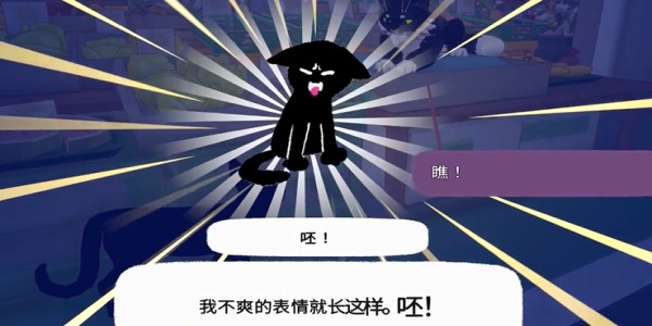 猫咪市长