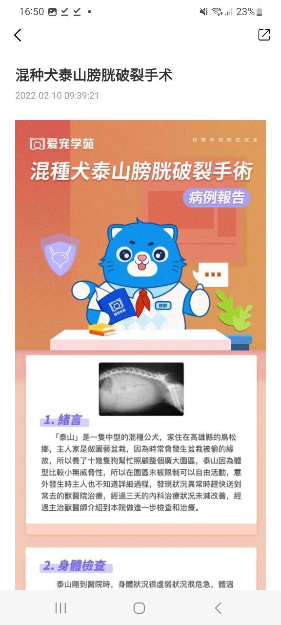 爱宠采购