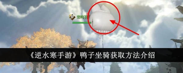逆水寒手游：如何获得鸭子坐骑