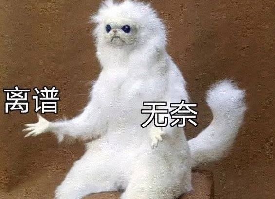 网易百万发射火箭，外星人看高衙内跳舞