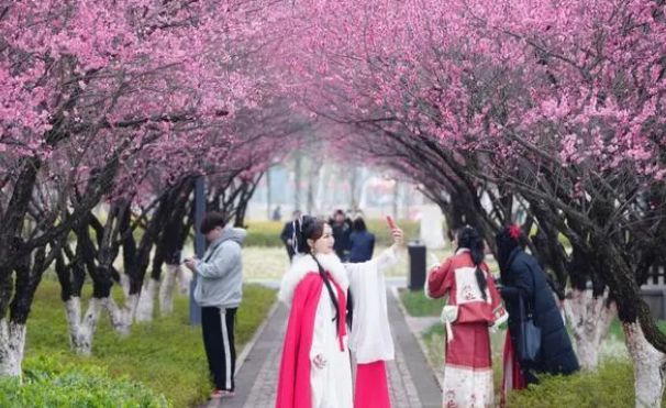 首个级虚拟景点：玩家新宠