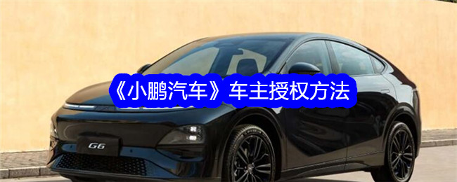 如何进行小鹏汽车车主授权？