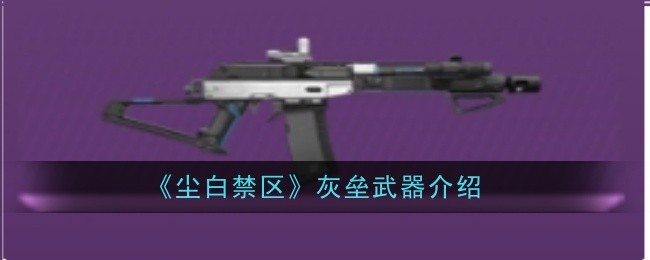 尘白禁区：灰垒武器详解