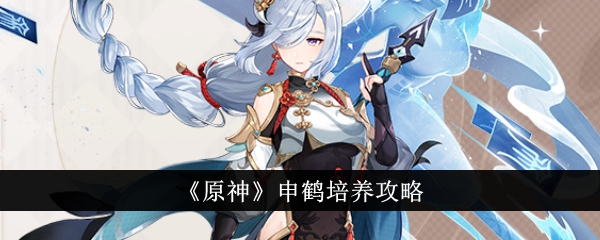 原神申鹤培养指南
