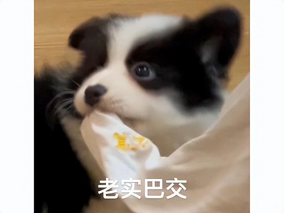 米哈游打破腾讯霸榜神话，成为新霸主。