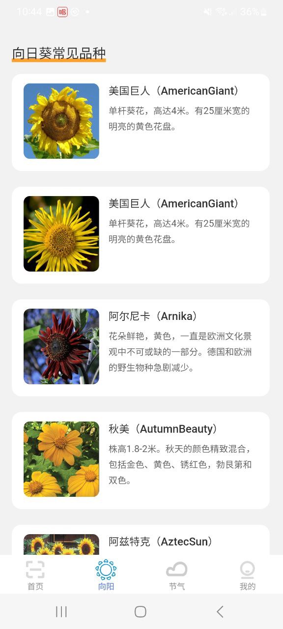 超速扫描大师移动版下载安装