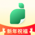 青柠设计应用下载
