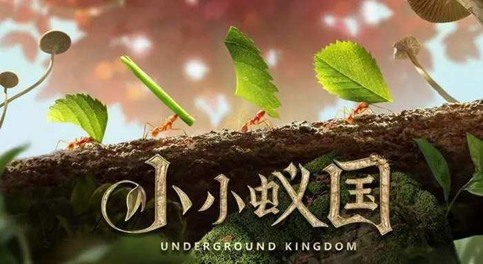 热门的策略手游有哪些 2023必玩的人气策略手游推荐