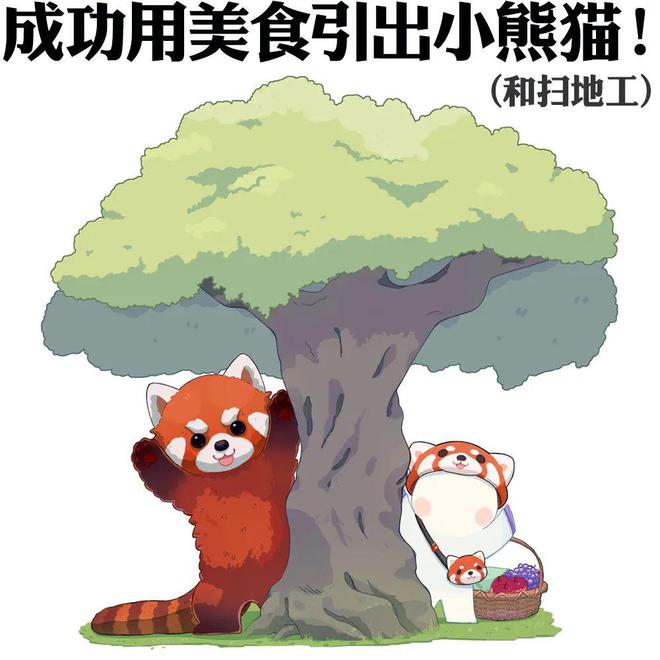 小熊猫冒险挑战：抱走限定周边好礼，还有公益活动等你参加！