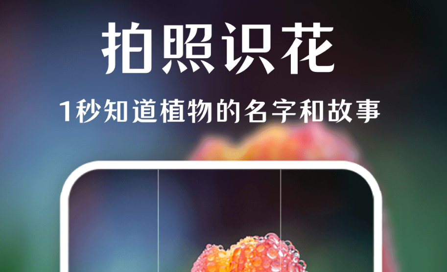 免费药材识别大全：哪个中药材识别软件好用？