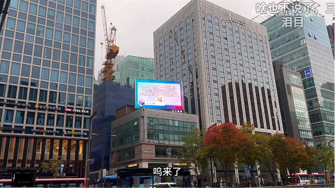 "玩家包场韩国电竞赛事，炫耀战队实力全球展露！" -> "韩国电竞赛事现场实况：玩家
