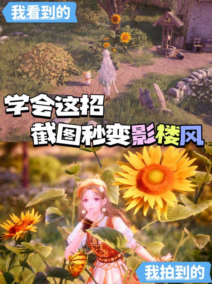 暖暖拍照相机参数设置技巧