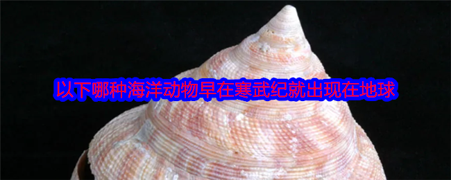 《支付宝》寒武纪早期的海洋生物
