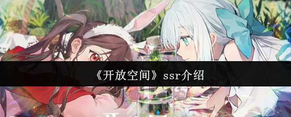 《开放空间》SSR角色介绍