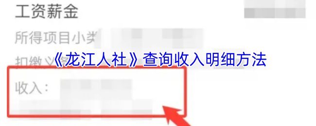 《龙江人社》检索收入明细的方式