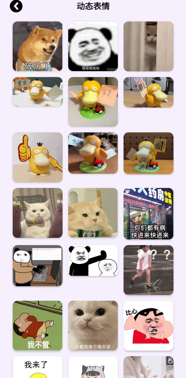 动图表情包