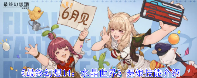 《最终幻想14：水晶世界》舞娘技能详解与应用技巧