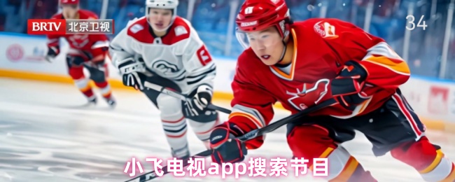 《小飞电视》小飞电视PP节目搜索指南