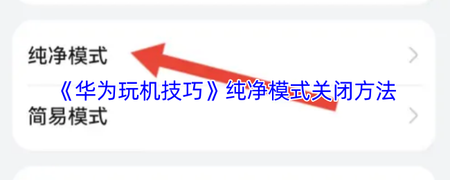 《玩机技巧》如何关闭纯净模式的详细步骤