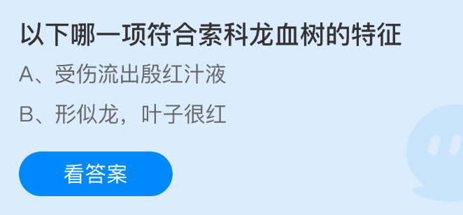 《支付宝》索科龙血树的特征有哪些？