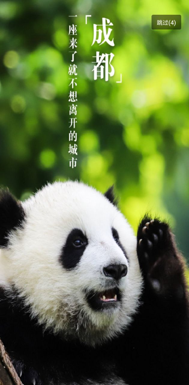掌游成都下载