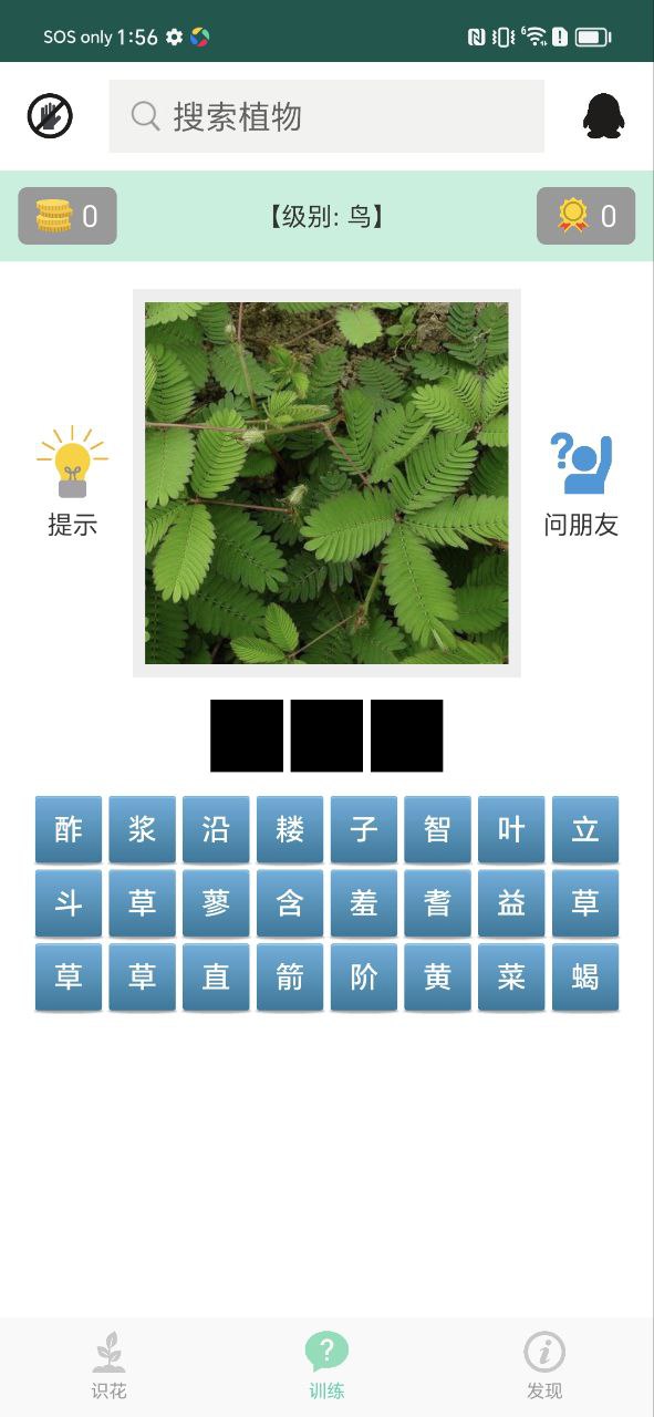 识花草应用