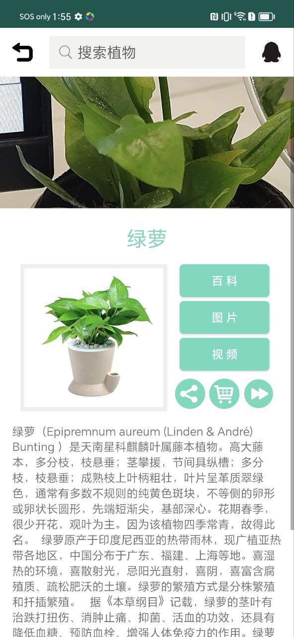 识花草应用