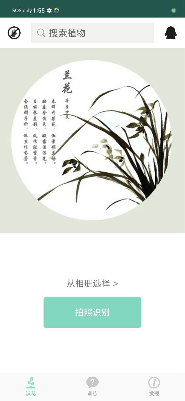 识花草应用