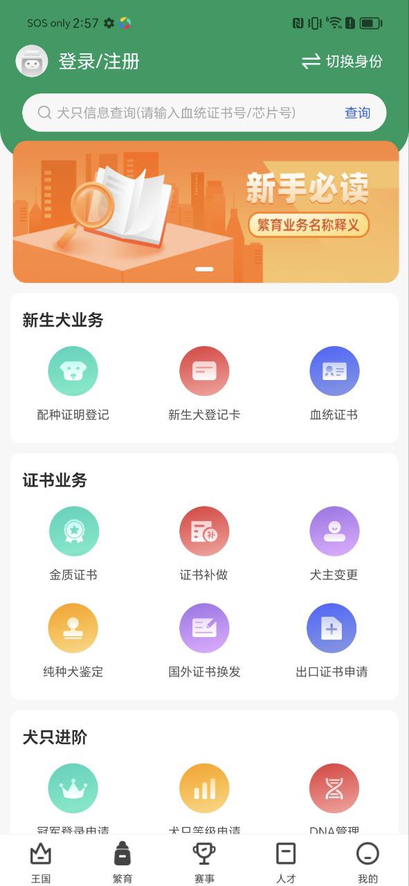 宠爱王国安卓下载