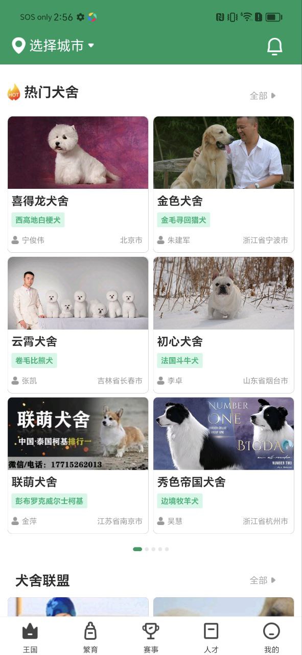 宠爱王国安卓下载