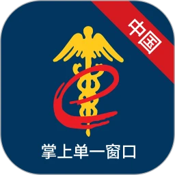 掌上单一窗口最新
