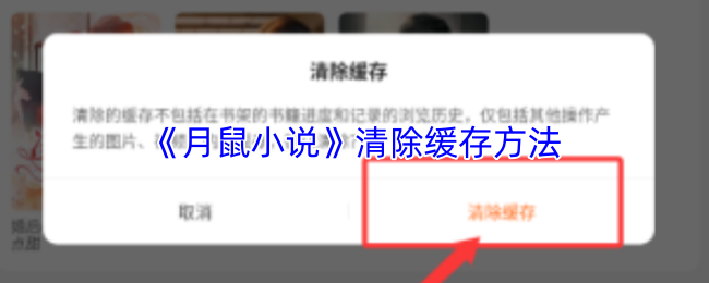 《月鼠小说》优化缓存清理技巧指南