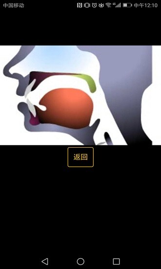 英语国际音标学习下载安装