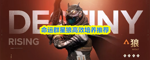 命运群星狼快速成长指南