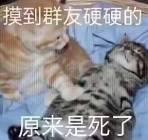 大逃杀游戏新玩法：玩家疯狂使用“精灵球”？